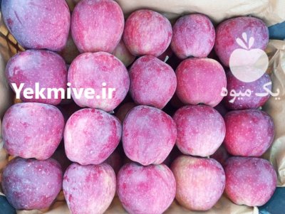سلام 40 تن سیب قرمز درجه یک در ارومیه در گروه خرید و فروش سیب در یکمیوه -عکس3