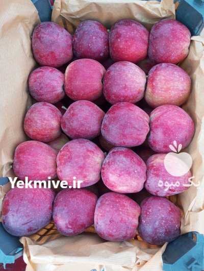 سلام 40 تن سیب قرمز درجه یک در ارومیه در گروه خرید و فروش سیب در یکمیوه -عکس4
