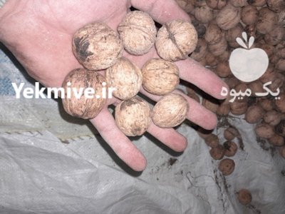 گردو پوست ایرانی درجه 1 در ارومیه در گروه خرید و فروش گردو در یکمیوه -عکس1