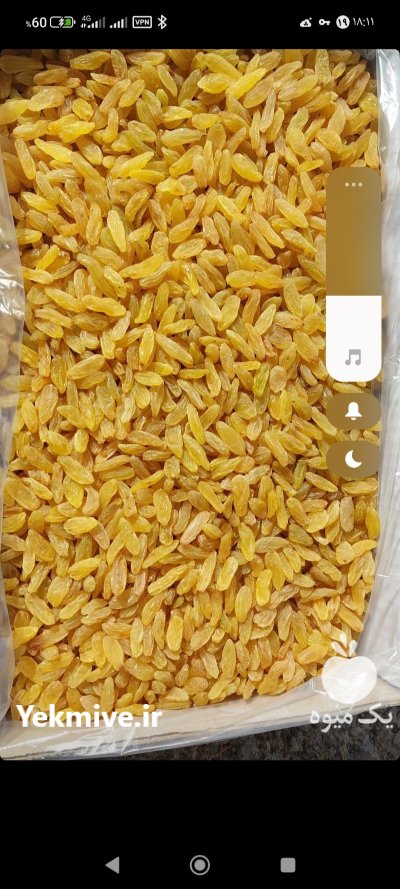 کشمش سبز در مشهد در گروه خرید و فروش آجیل در یکمیوه -عکس2