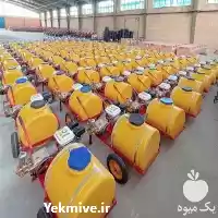 فروش سم پاش فرغونی در تهران در گروه خرید و فروش سمپاش در یکمیوه