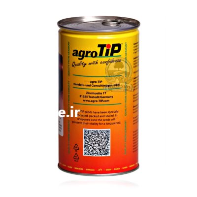 بذر پیاز قرمز رد کرون اگروتیپ در گروه خرید و فروش بذر پیاز در یکمیوه -عکس2