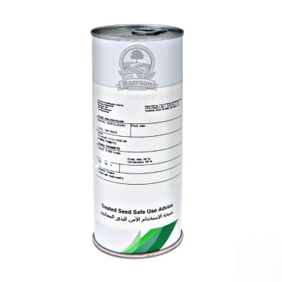 بذر گوجه 2466 SV 2466 TD سمینیس در گروه خرید و فروش انواع بذر در یکمیوه -عکس2