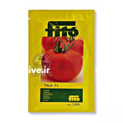 بذر گوجه فرنگی طلا در شیراز در گروه خرید و فروش بذر گوجه در یکمیوه -عکس1