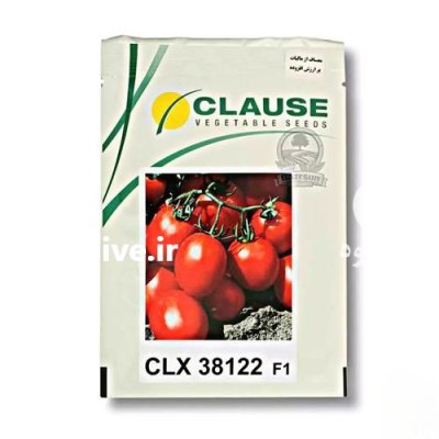 بذر گوجه فرنگی CLX 38122 در شیراز در گروه خرید و فروش بذر گوجه در یکمیوه -عکس1