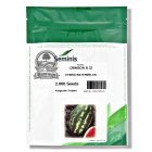 بذر هندوانه بی 32.32 سمینیس در اهواز در گروه خرید و فروش بذر هندوانه در یکمیوه