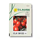 بذر گوجه فرنگی CLX 38122 در شیراز در گروه خرید و فروش بذر گوجه در یکمیوه