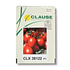 بذر گوجه CLX 38122 کلوز در اهواز در گروه خرید و فروش بذر گوجه در یکمیوه