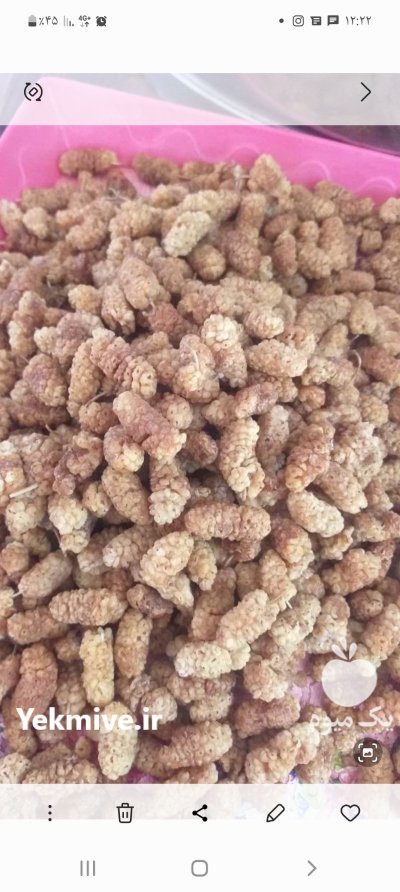 فروش توت خشک ارومیه در گروه خرید و فروش توت در یکمیوه -عکس1