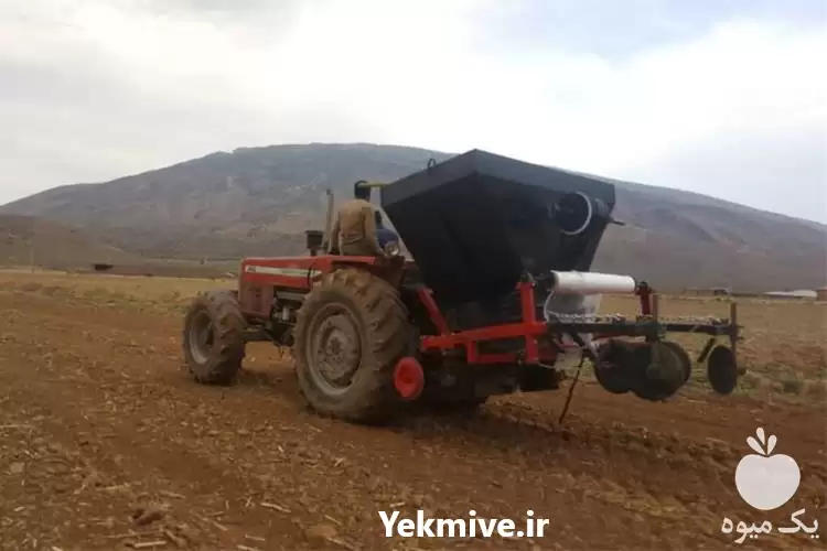 فروش تولید پلاستیک کش صیفی جات در گروه خرید و فروش بذرپاش در یکمیوه -عکس1