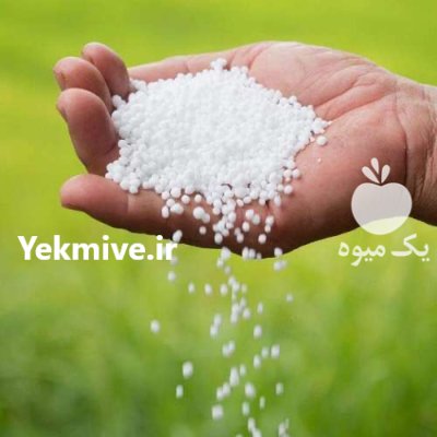 کود اوره گرانوله دانه درشت در گرگان در گروه خرید و فروش کود اوره در یکمیوه -عکس1