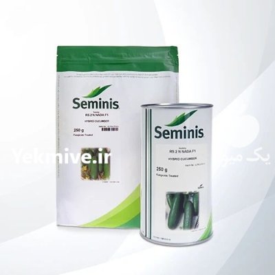 فروش بذر خیار 2 N نادا سمینیس در گروه خرید و فروش بذر خیار در یکمیوه -عکس1