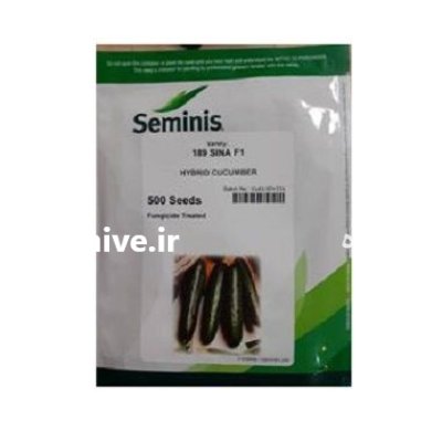 فروش بذر خیار Sina 189.1 در اهواز در گروه خرید و فروش بذر خیار در یکمیوه -عکس1