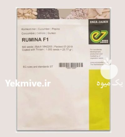 فروش بذر خیار Rumina F 1 در اهواز در گروه خرید و فروش بذر خیار در یکمیوه -عکس1