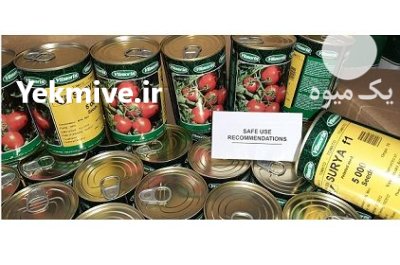 فروش بذر گوجه فرنگی ویلمورین ارسال در اهواز در گروه خرید و فروش بذر گوجه در یکمیوه -عکس1