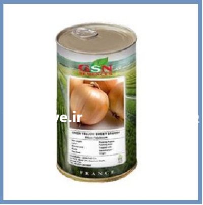 فروش بذر پیاز یلو سوئیت اسپنیش در اهواز در گروه خرید و فروش بذر پیاز در یکمیوه -عکس1