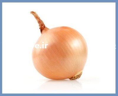 فروش بذر پیاز یلو سوئیت اسپنیش در اهواز در گروه خرید و فروش بذر پیاز در یکمیوه -عکس2