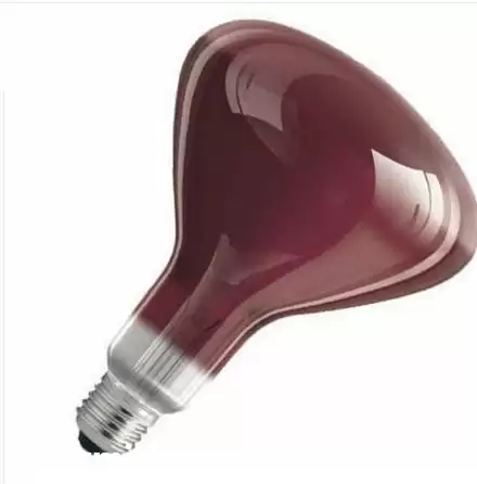 قیمت خرید لامپ مادون قرمز در شهرکرد در گروه خرید و فروش لامپ رشد در یکمیوه -عکس1