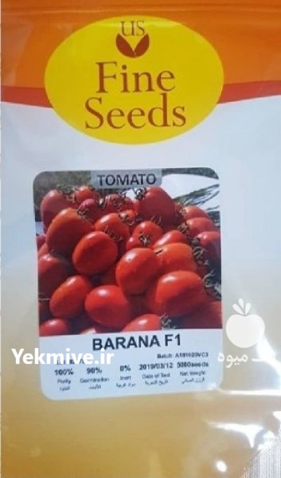 فروش بذر گوجه فرنگی بارانا ارسال در اهواز در گروه خرید و فروش بذر گوجه در یکمیوه -عکس1