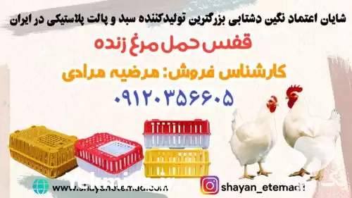 قیمت خرید سبد حمل مرغ زنده در رشت در گروه خرید و فروش انواع سبد در یکمیوه -عکس1