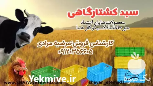 قیمت خرید سبد صنعتی کشتارگاهی پروتئینی در قزوین در گروه خرید و فروش انواع سبد در یکمیوه -عکس1