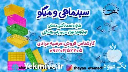 سبد سورتینگ در رشت در گروه خرید و فروش انواع سبد در یکمیوه -عکس1