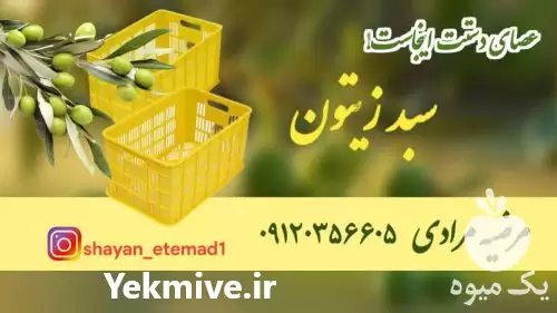 قیمت خرید تولید سبد زیتون در رودبار در گروه خرید و فروش انواع سبد در یکمیوه -عکس1