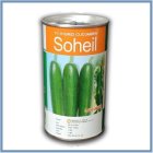 بذر خیار زودرس سهیل نونگووبیو در گروه خرید و فروش بذر خیار در یکمیوه