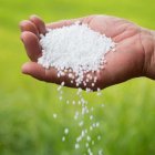 کود اوره گرانوله دانه درشت در گرگان در گروه خرید و فروش کود اوره در یکمیوه