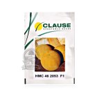 بذر خربزه گالیا HMC 462053 در اهواز در گروه خرید و فروش بذر خربزه در یکمیوه