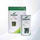 فروش بذر خیار 2 N نادا سمینیس در گروه خرید و فروش بذر خیار در یکمیوه