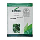 بذر فلفل دلمه ارشمیدوس سمینیس در اهواز در گروه خرید و فروش بذر فلفل در یکمیوه