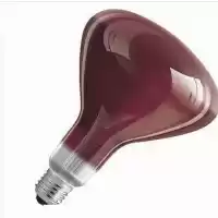 قیمت خرید لامپ مادون قرمز در شهرکرد در گروه خرید و فروش لامپ رشد در یکمیوه