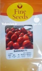 فروش بذر گوجه فرنگی بارانا ارسال در اهواز در گروه خرید و فروش بذر گوجه در یکمیوه