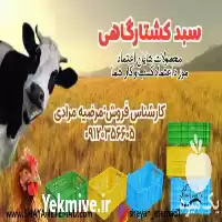 قیمت خرید سبد صنعتی کشتارگاهی پروتئینی در قزوین در گروه خرید و فروش انواع سبد در یکمیوه