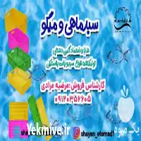 سبد سورتینگ در رشت در گروه خرید و فروش انواع سبد در یکمیوه