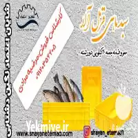 قیمت خرید سبد پلاستیکی جعبه کیلویی در تهران در گروه خرید و فروش انواع سبد در یکمیوه