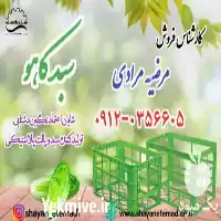 فروش سبد پلاستیکی حمل کاهو قیمت در اصفهان در گروه خرید و فروش انواع سبد در یکمیوه