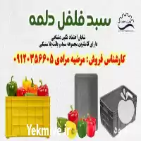 سبد گلخانه ای در اصفهان در گروه خرید و فروش انواع سبد در یکمیوه