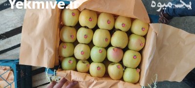 فروش سیب زرد و قرمز در گروه خرید و فروش سیب در یکمیوه -عکس2