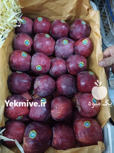 فروش سیب زرد و قرمز در گروه خرید و فروش سیب در یکمیوه -عکس1