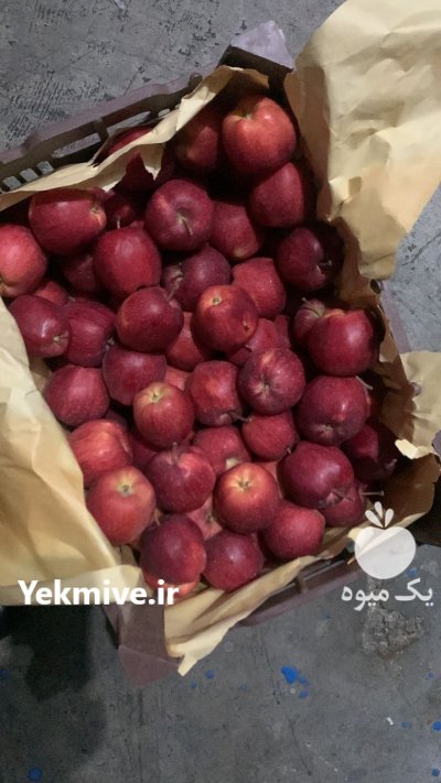فروش سیب زرد و قرمز در گروه خرید و فروش سیب در یکمیوه -عکس3