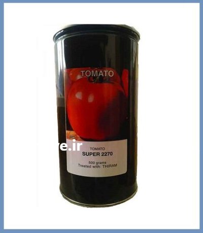 فروش بذر گوجه فرنگی سوپر 2270 در اهواز در گروه خرید و فروش بذر گوجه در یکمیوه -عکس1