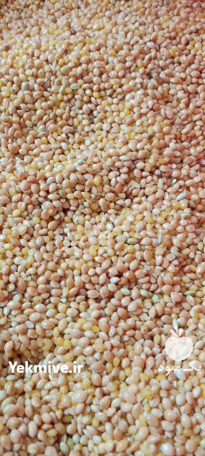 فروش ارزن ایرانی محصول امسال در همدان در گروه خرید و فروش غلات و حبوبات در یکمیوه -عکس1
