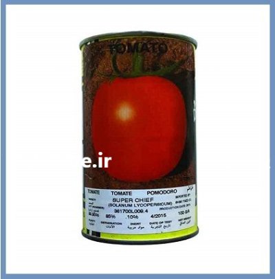 فروش ارسال بذر گوجه فرنگی سوپر در گروه خرید و فروش بذر گوجه در یکمیوه -عکس1