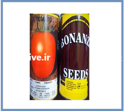 فروش ارسال بذر گوجه فرنگی سوپر در گروه خرید و فروش بذر گوجه در یکمیوه -عکس2