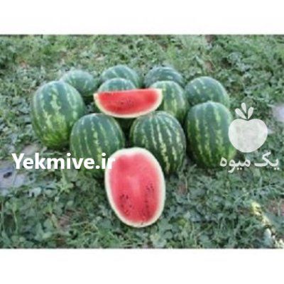 بذر هندوانه دومارا نانهمز در اهواز در گروه خرید و فروش بذر هندوانه در یکمیوه -عکس1