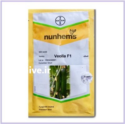 بذر خیار Veolla نانهمز هلند فروش در گروه خرید و فروش بذر خیار در یکمیوه -عکس1