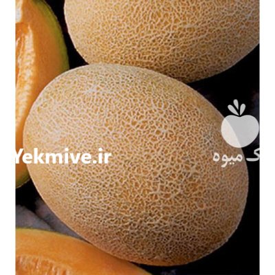 بذر خربزه آناناسی اولین اماسیدز در اهواز در گروه خرید و فروش بذر خربزه در یکمیوه -عکس1