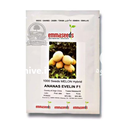 بذر خربزه آناناسی اولین اماسیدز در اهواز در گروه خرید و فروش بذر خربزه در یکمیوه -عکس2